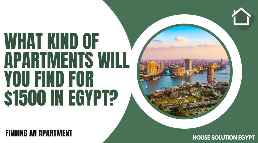 WHAT KIND OF APARTMENTS WILL YOU FIND FOR $1500 IN EGYPT? - #252 - article image